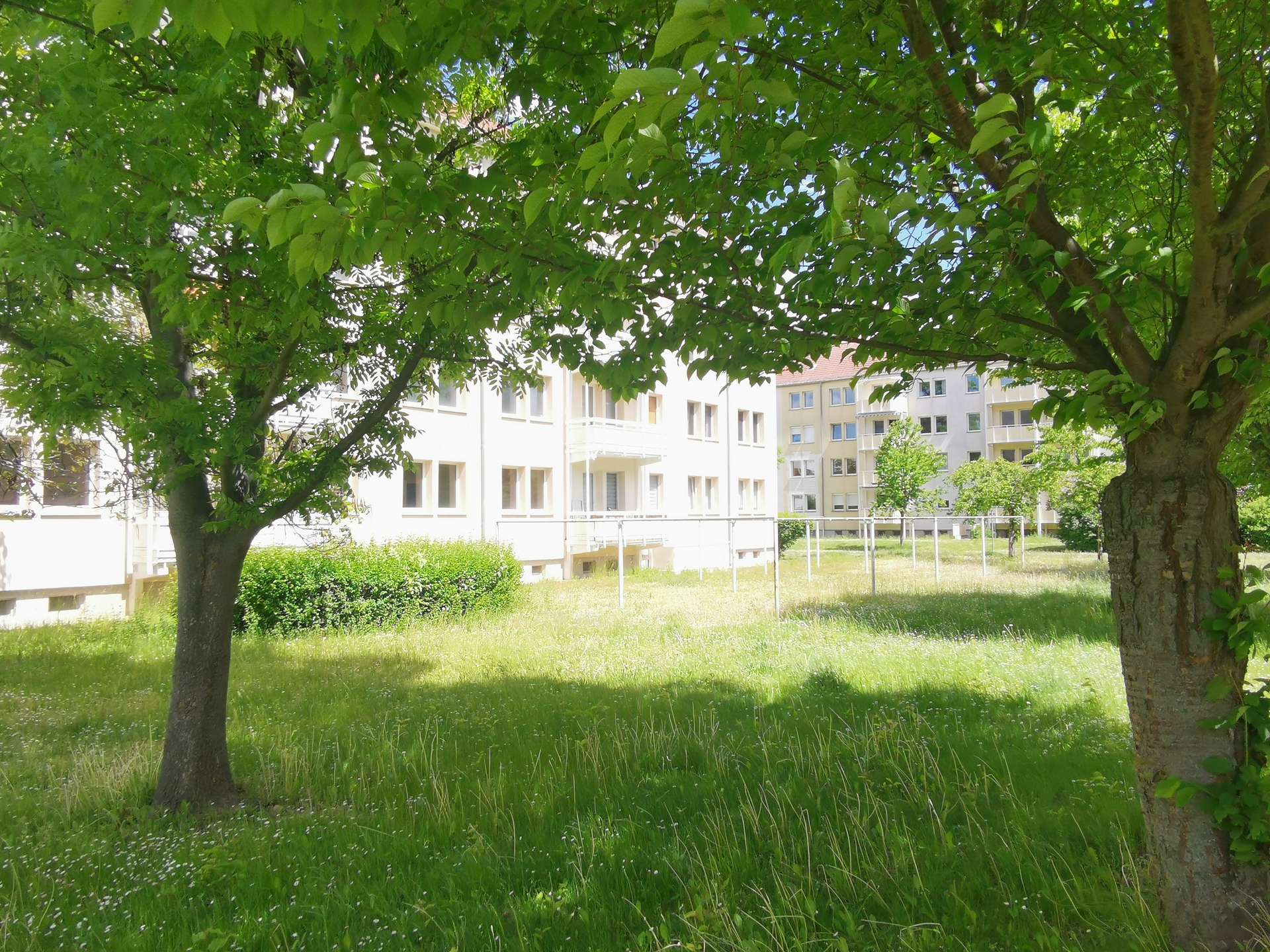 Grünes Umfeld