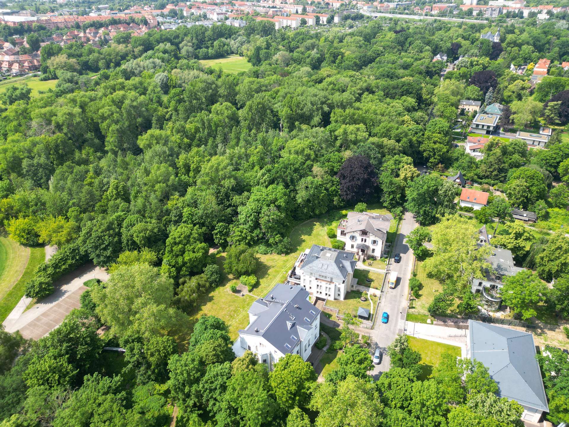 grün gelegen