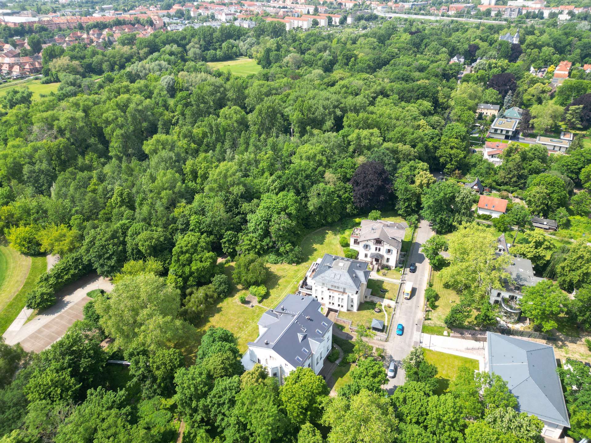 grün gelegen