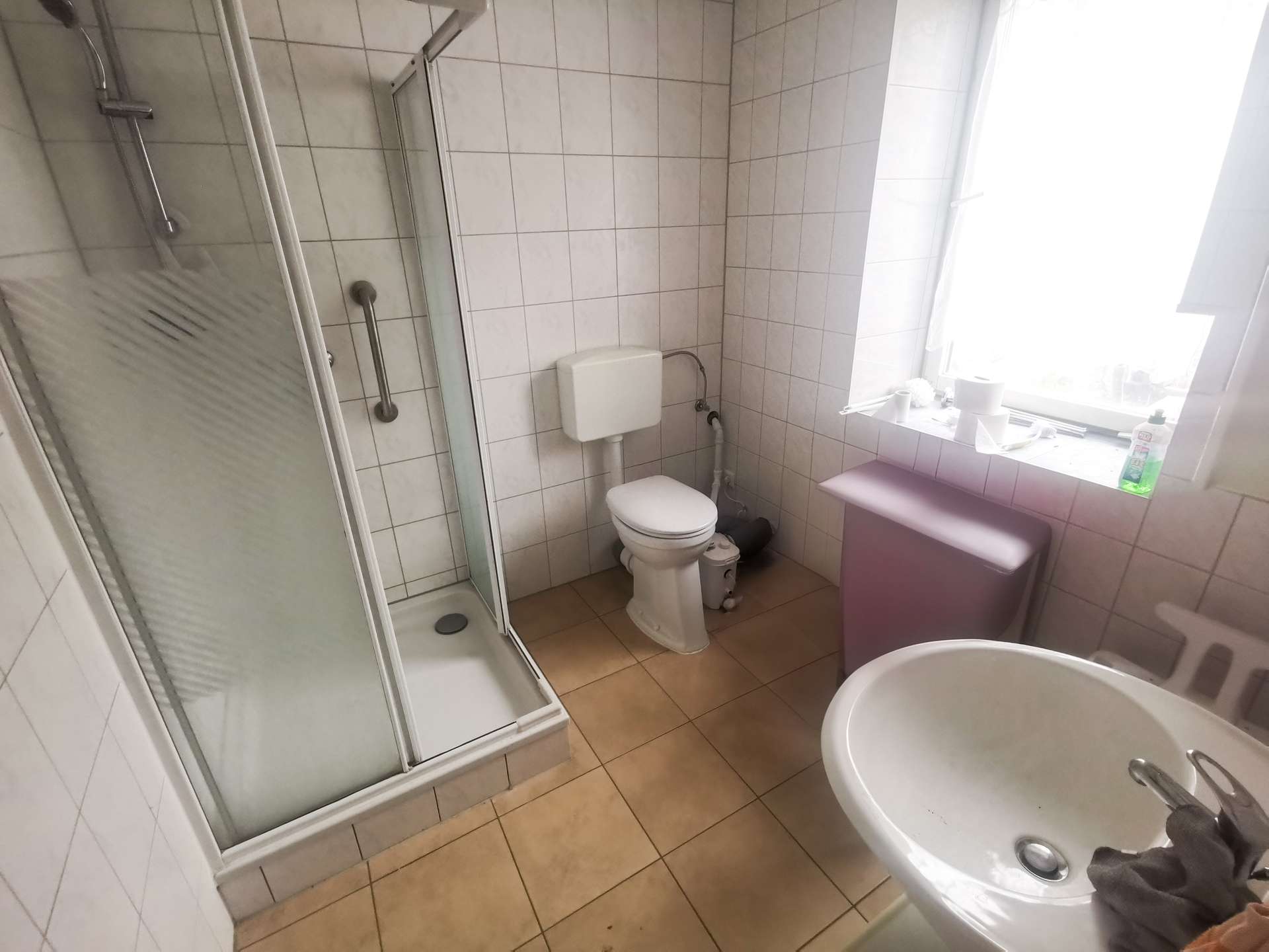Tageslichtbad Dusche EG