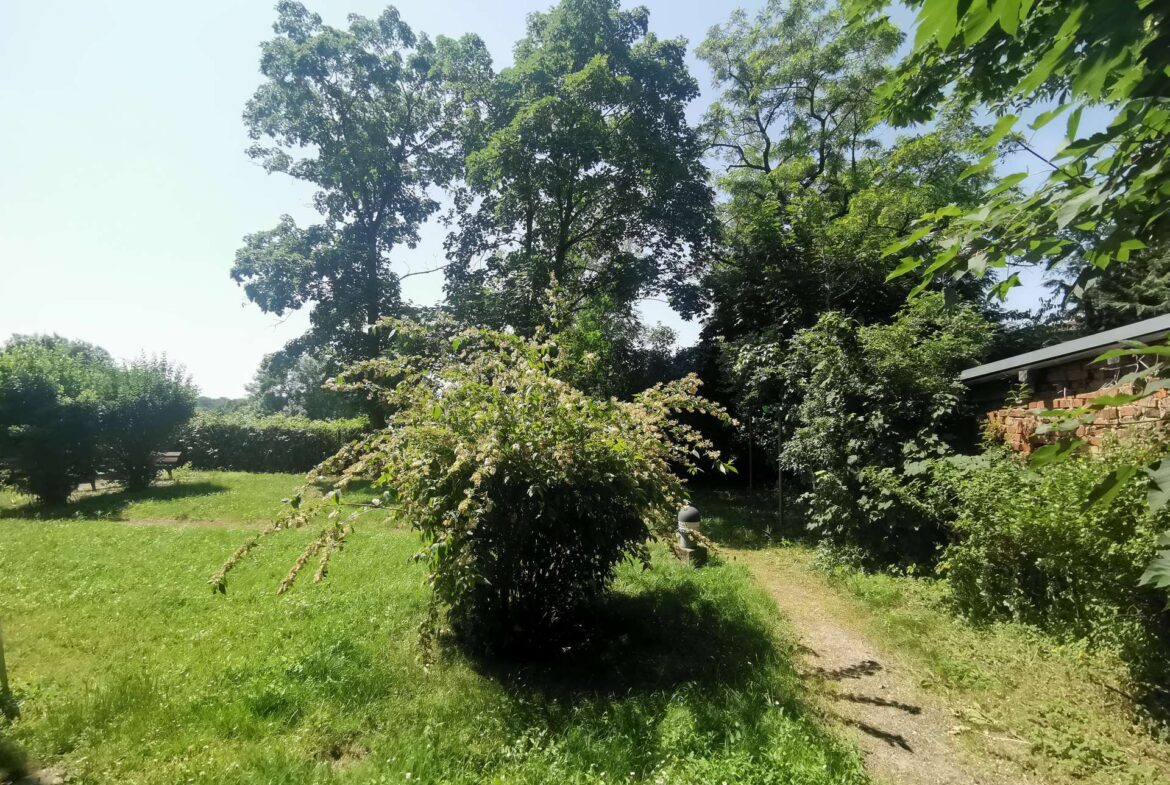 Grüner Hinterhof