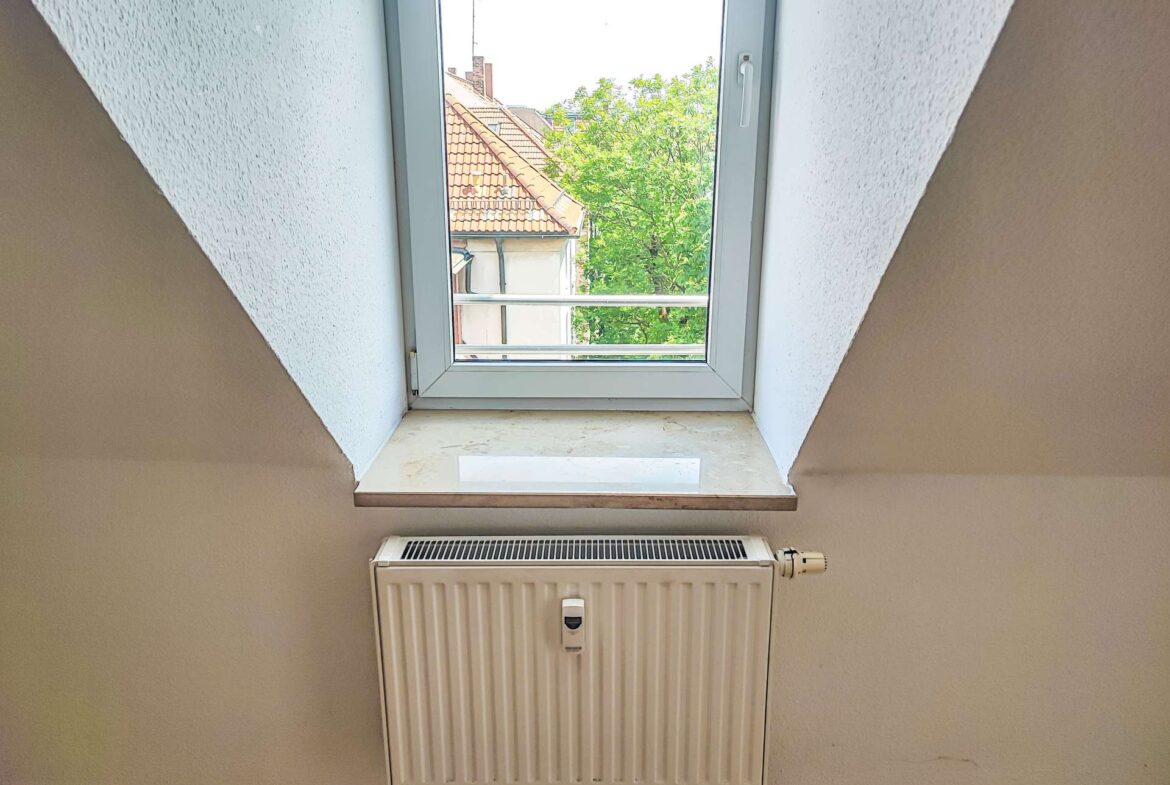 Dachgauben-Fenster