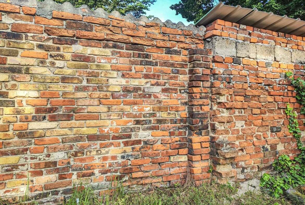 urige Mauer im Garten