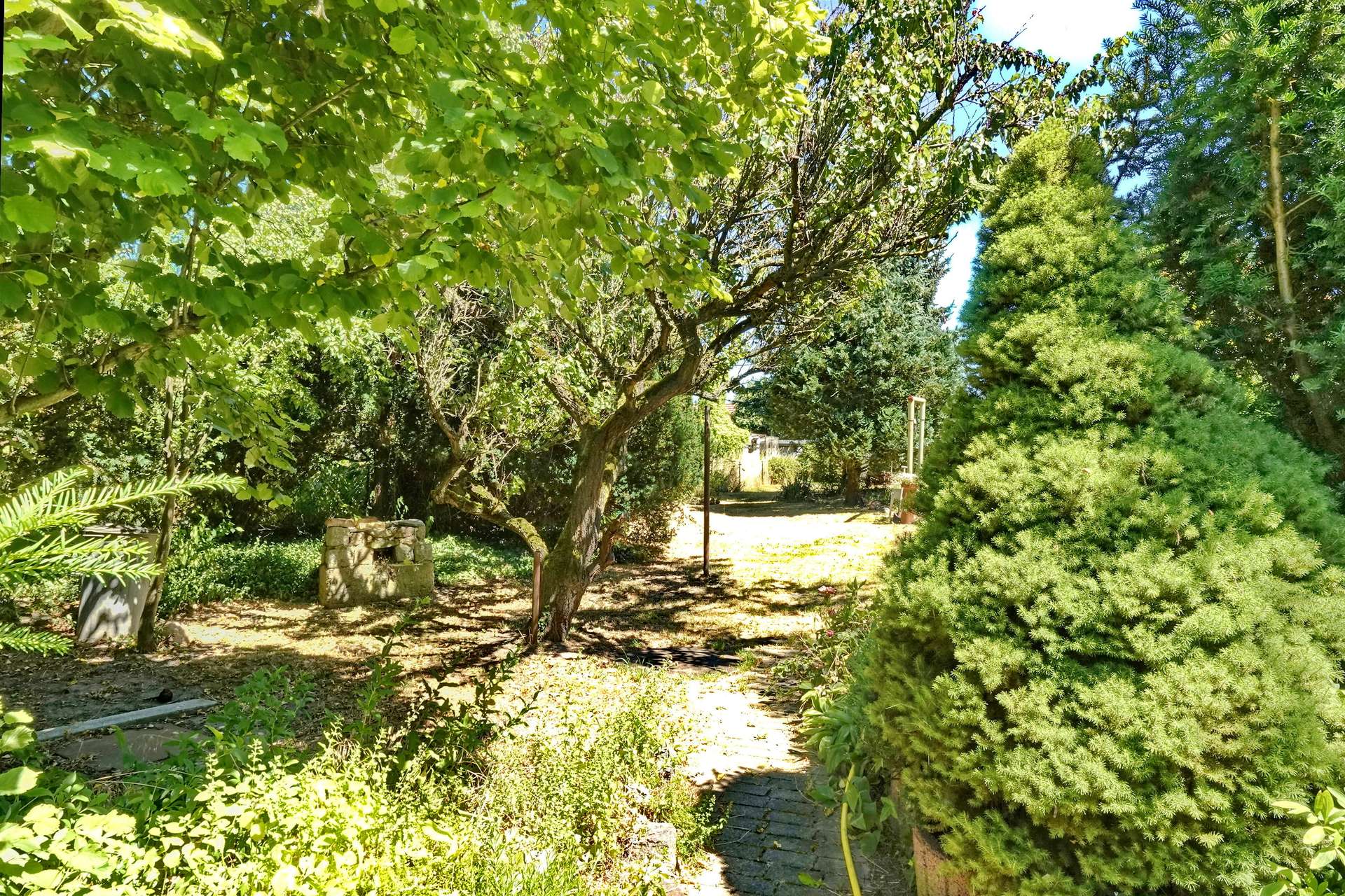 45 großer Garten