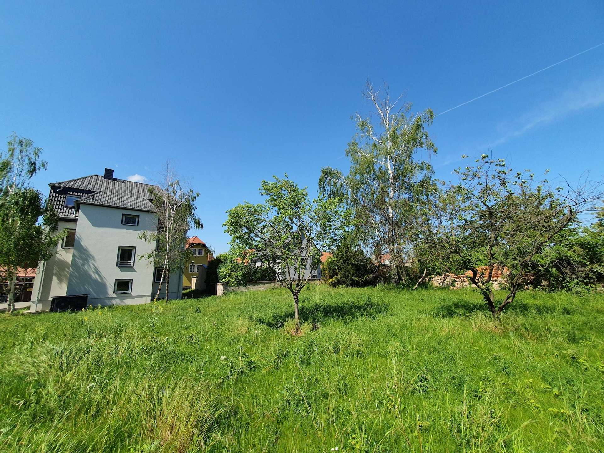 Großzügiger Garten