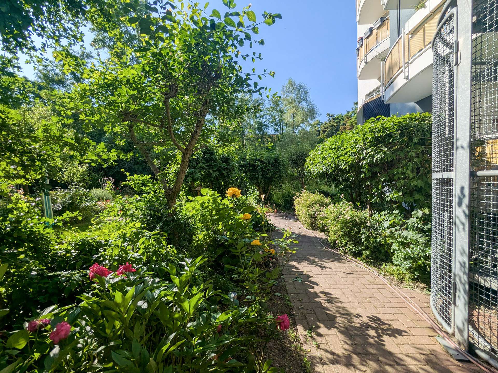 Weg hinter dem Haus