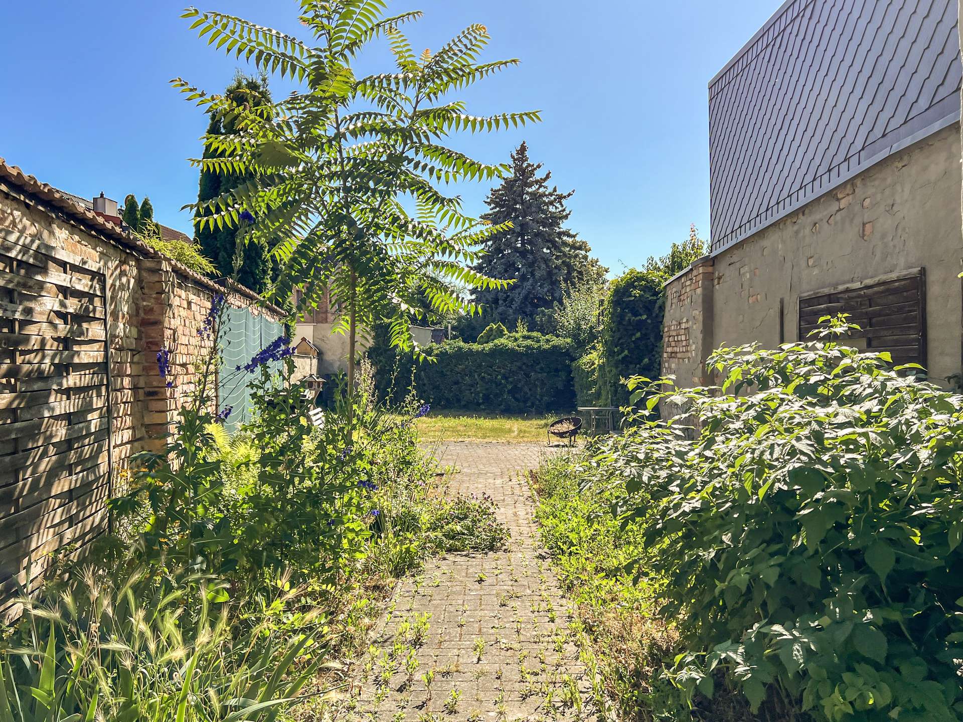 Gemeinschaftsgarten