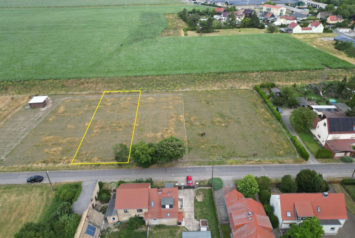 Feldlage 