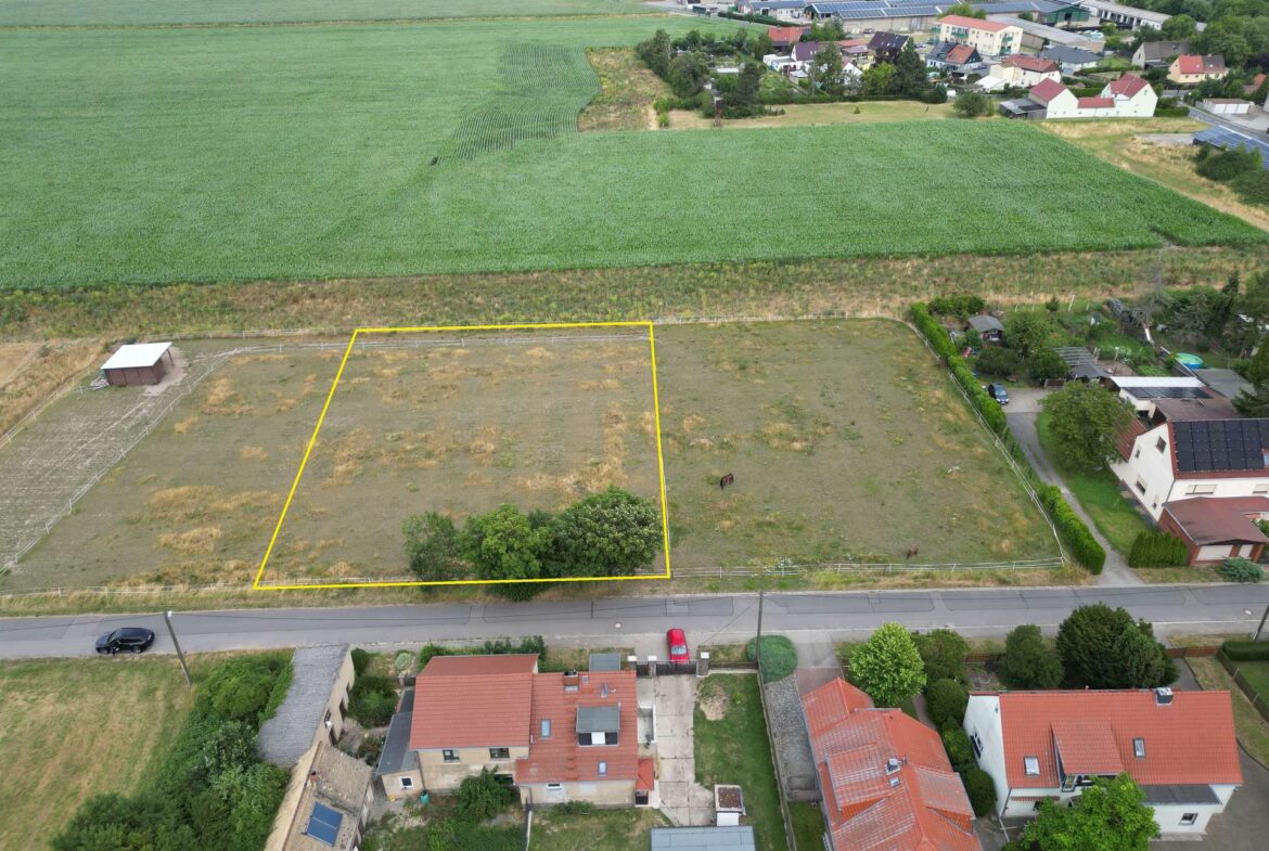 Feldlage 