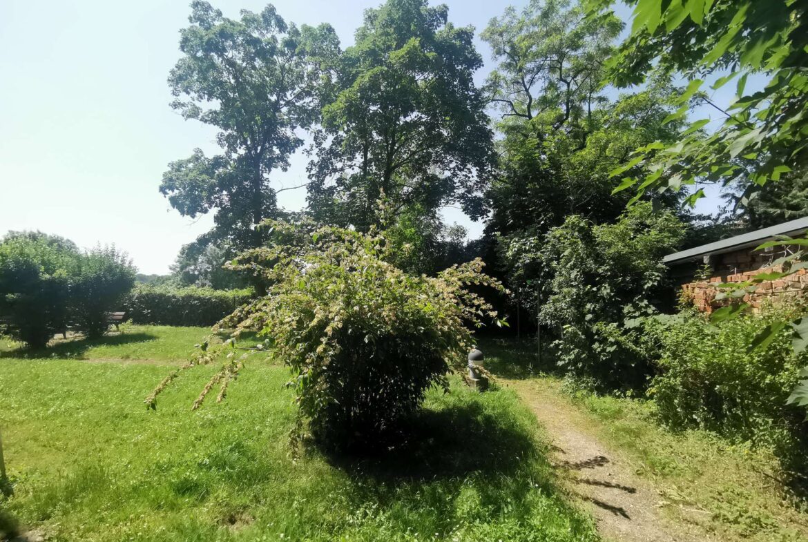Grüner Hinterhof