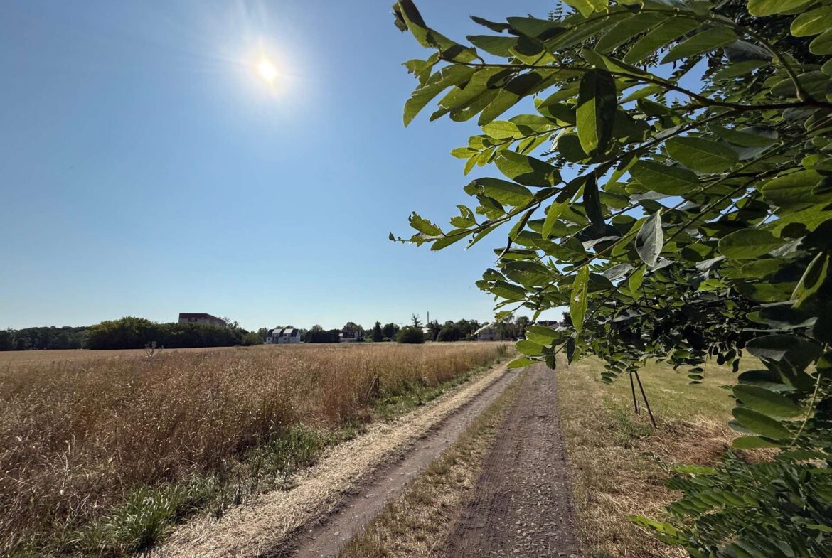 Schwarzer Weg