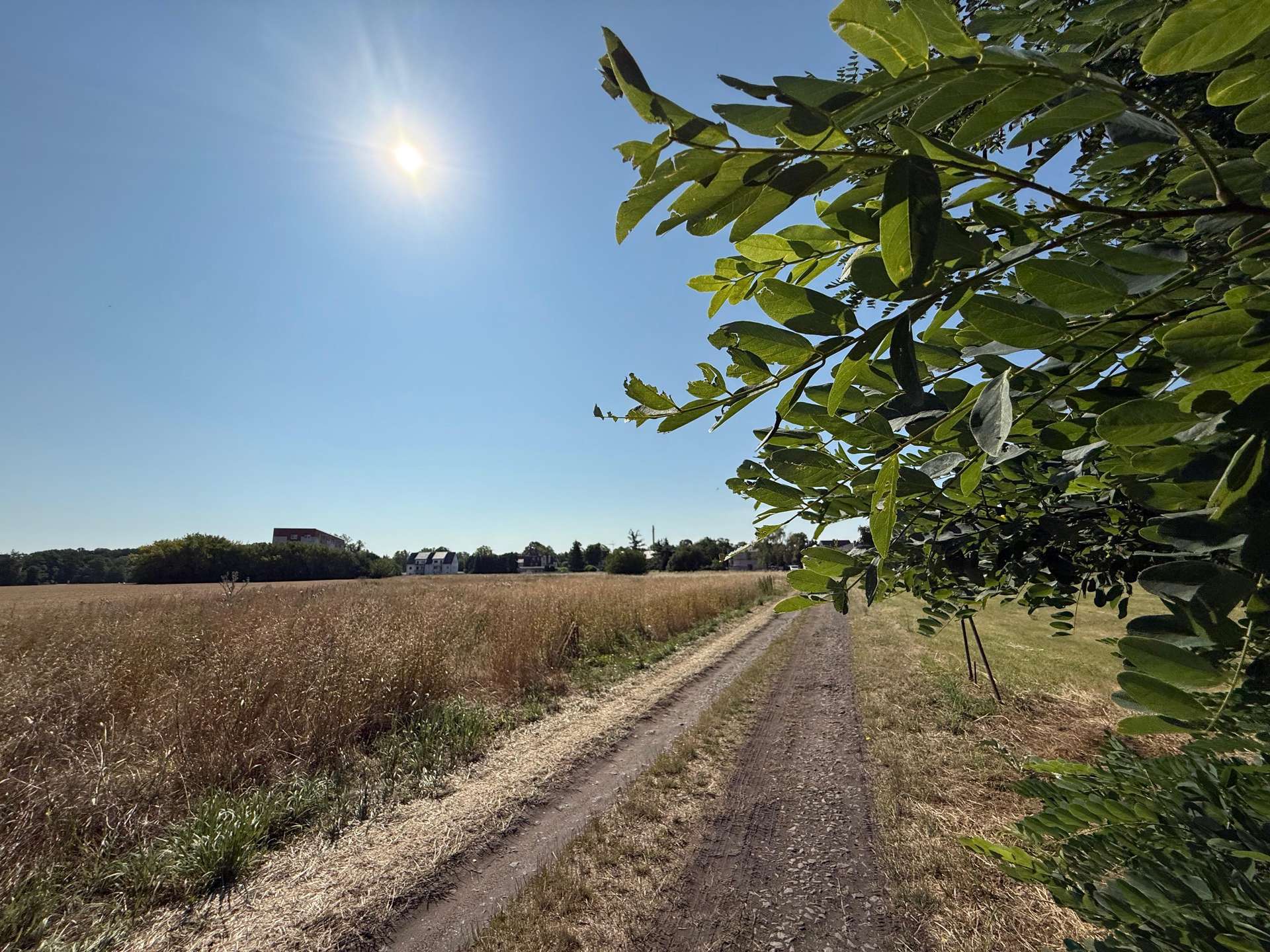 Schwarzer Weg