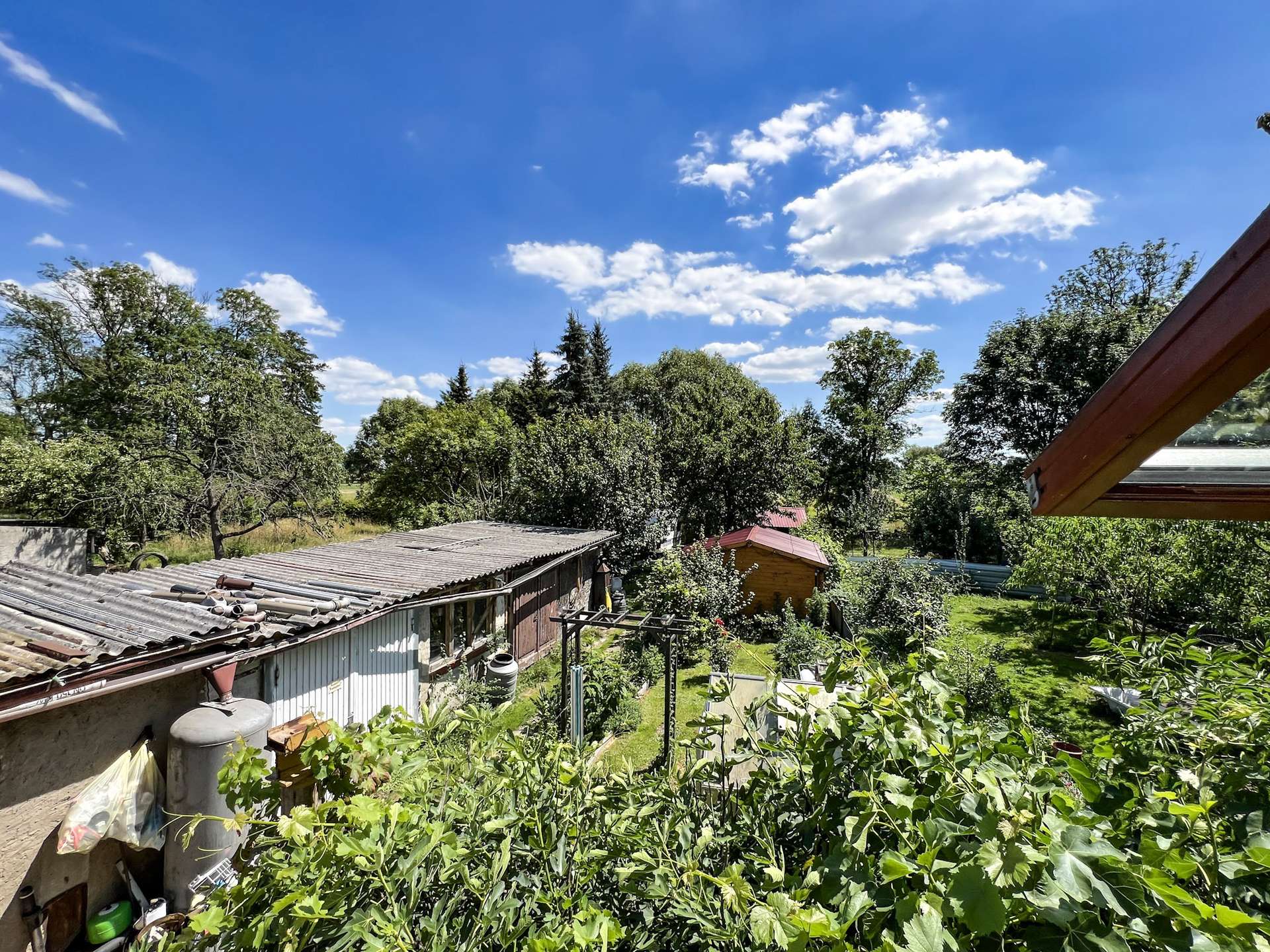 Ausblick vom Wintergarten