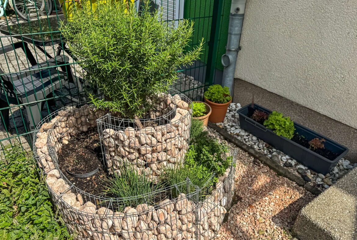 Angelegte Kräuterecke