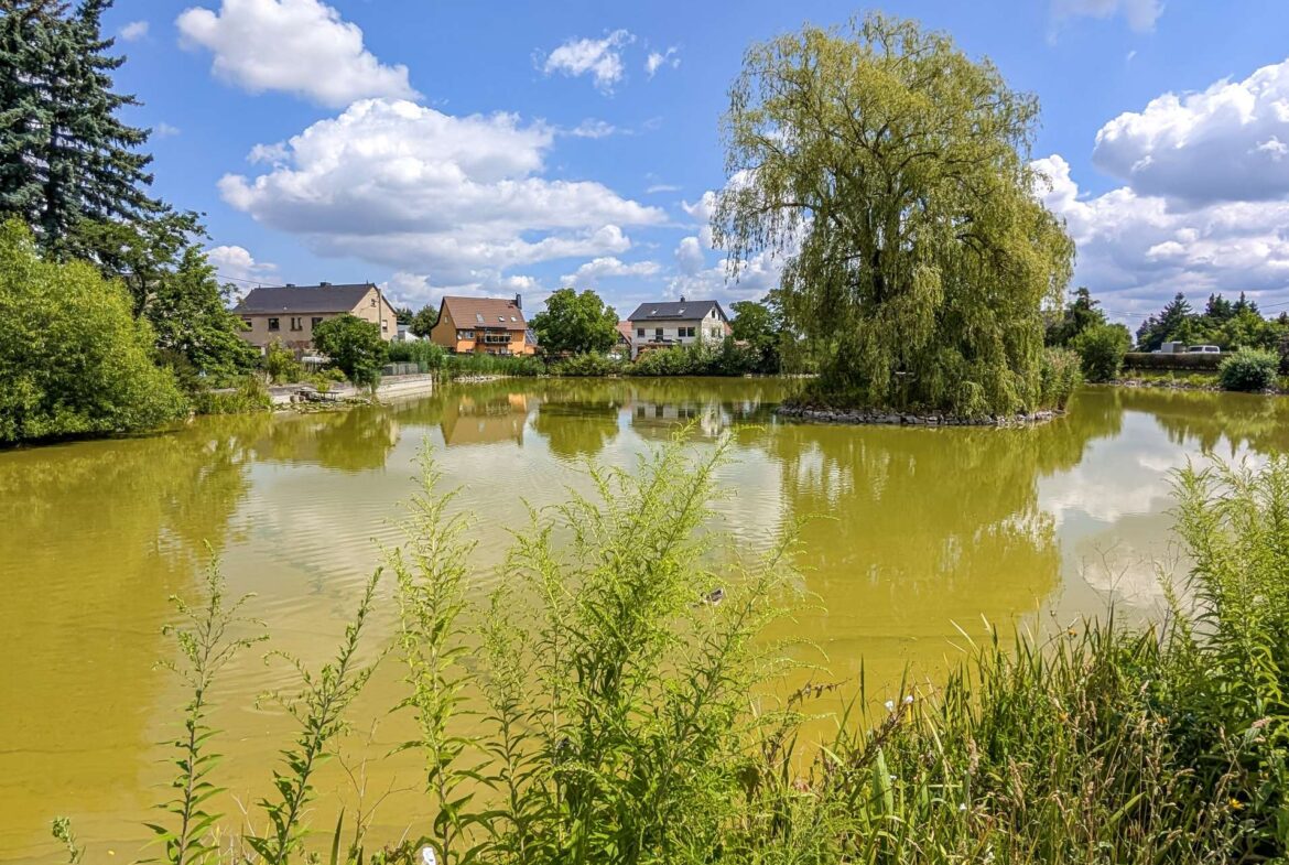 Dorfteich