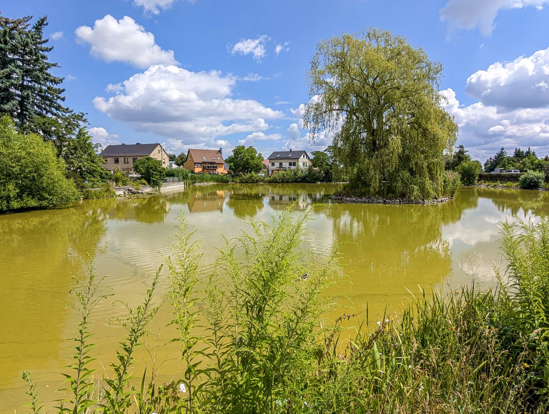 Dorfteich