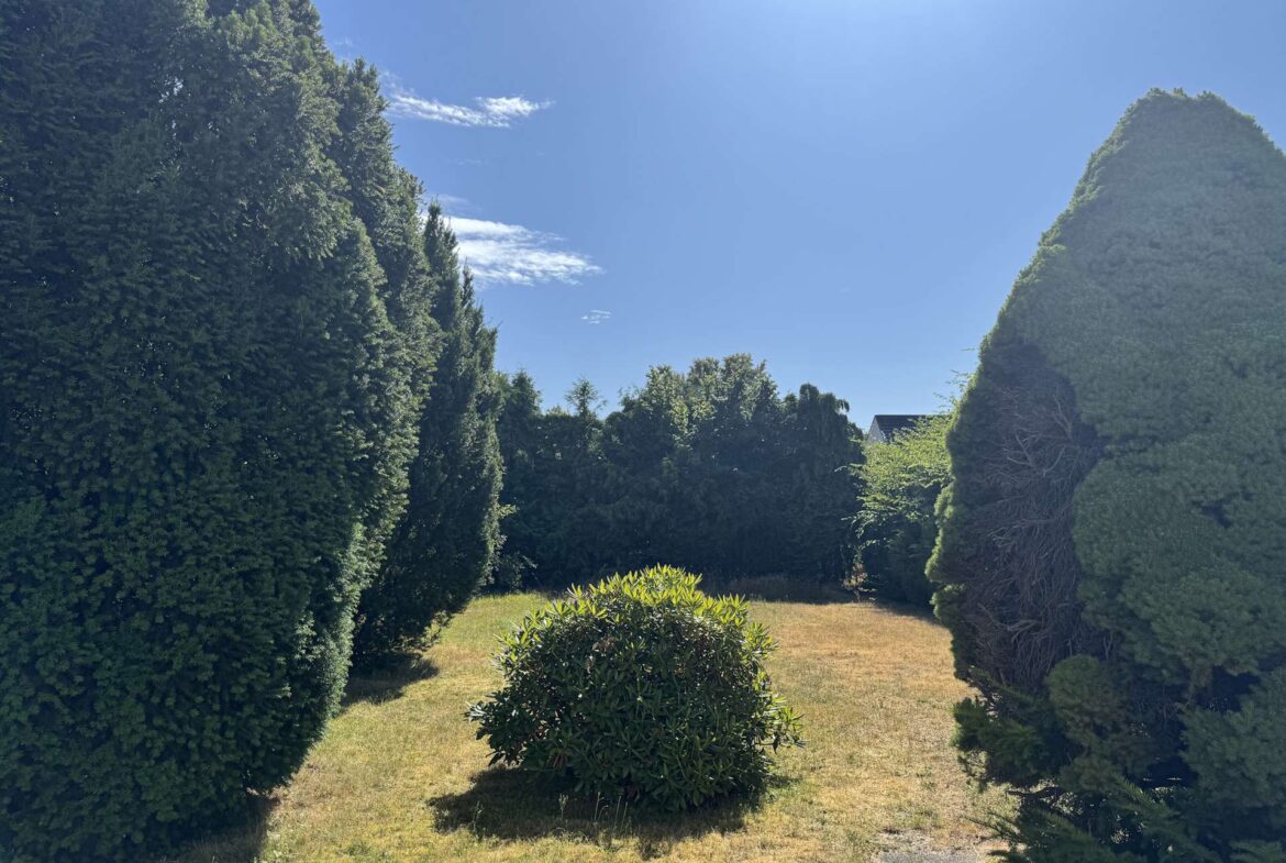 Großer Garten