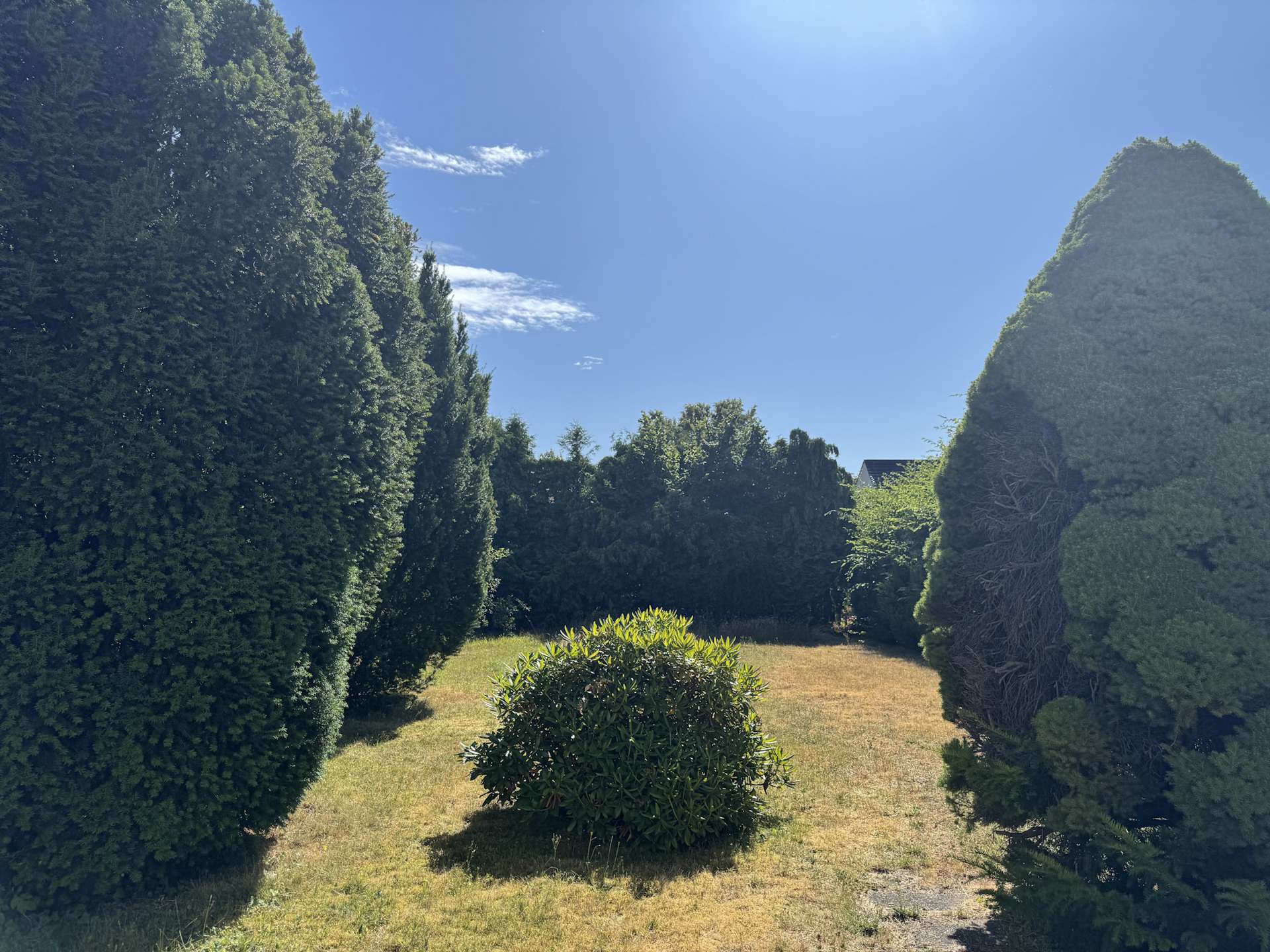Großer Garten