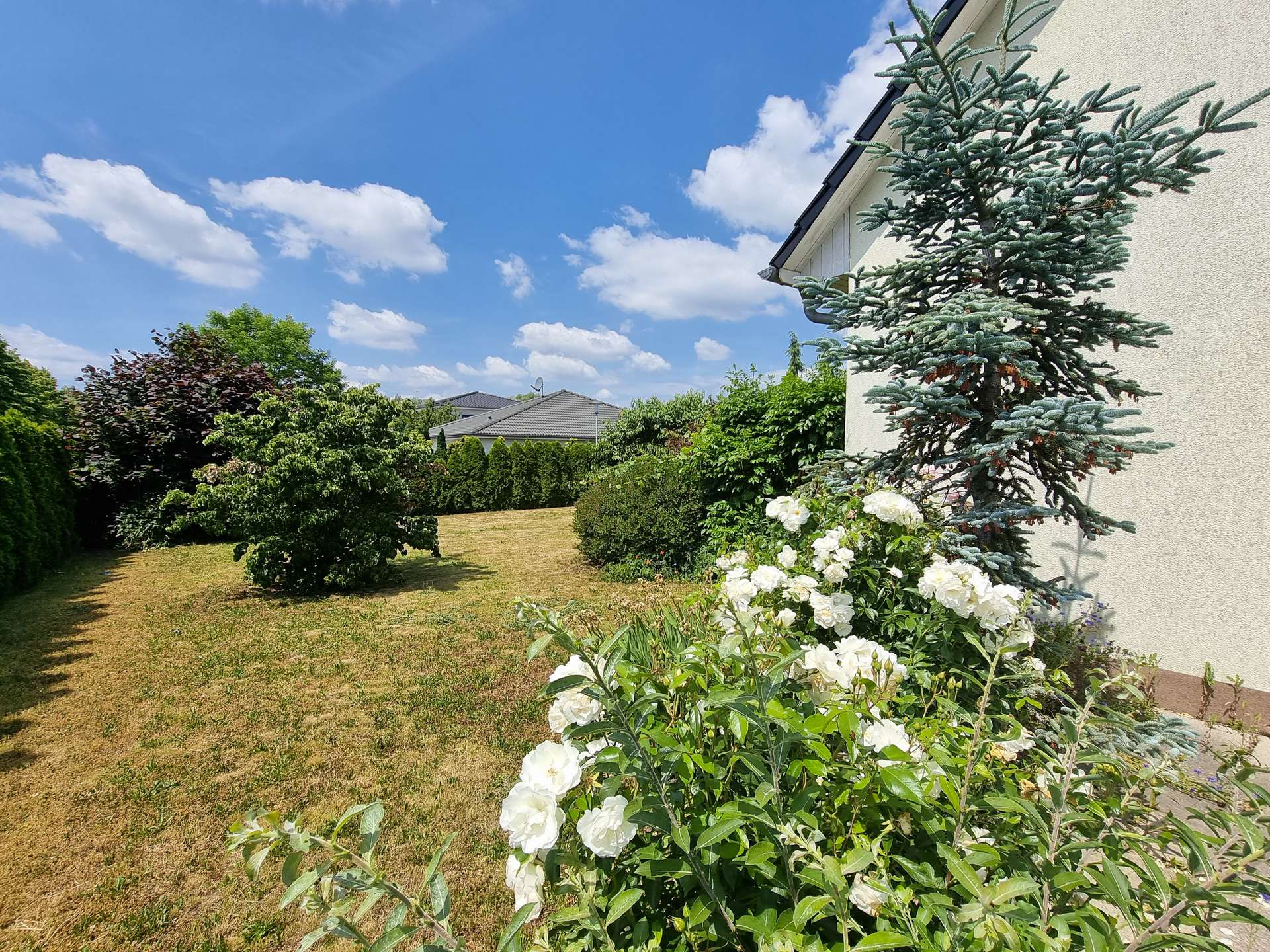 Gartenblick