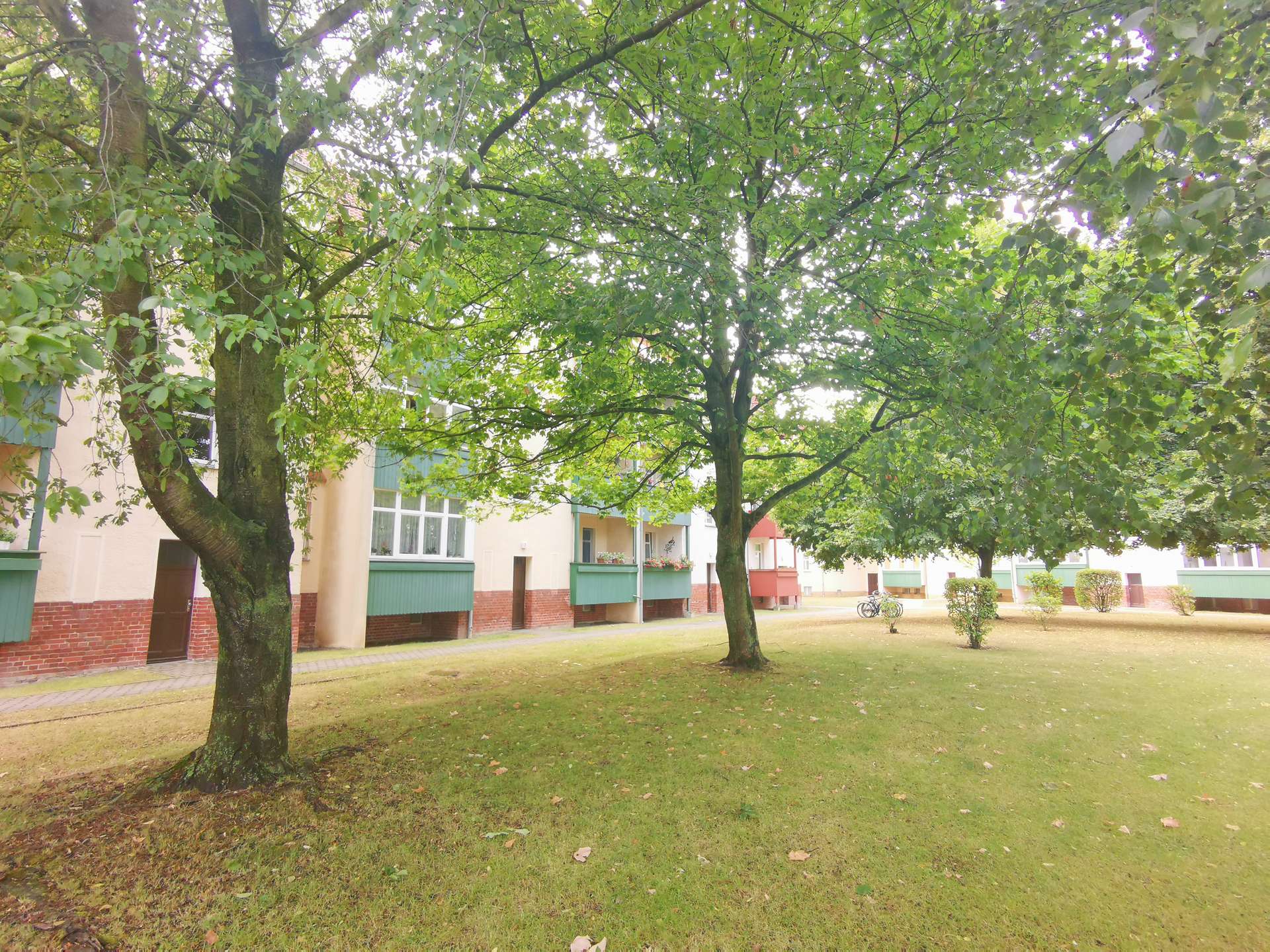 Hinterhof
