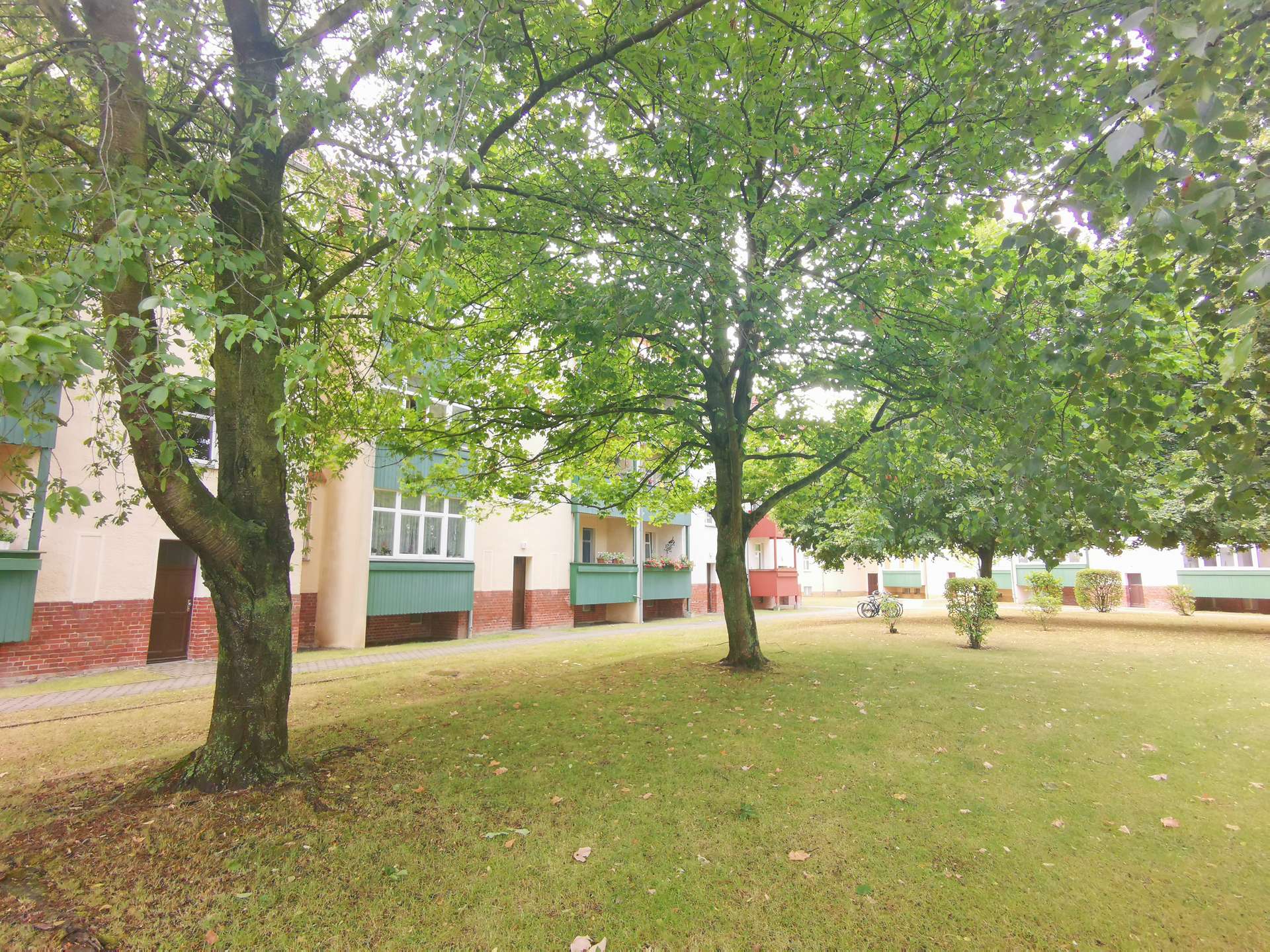 Hinterhof