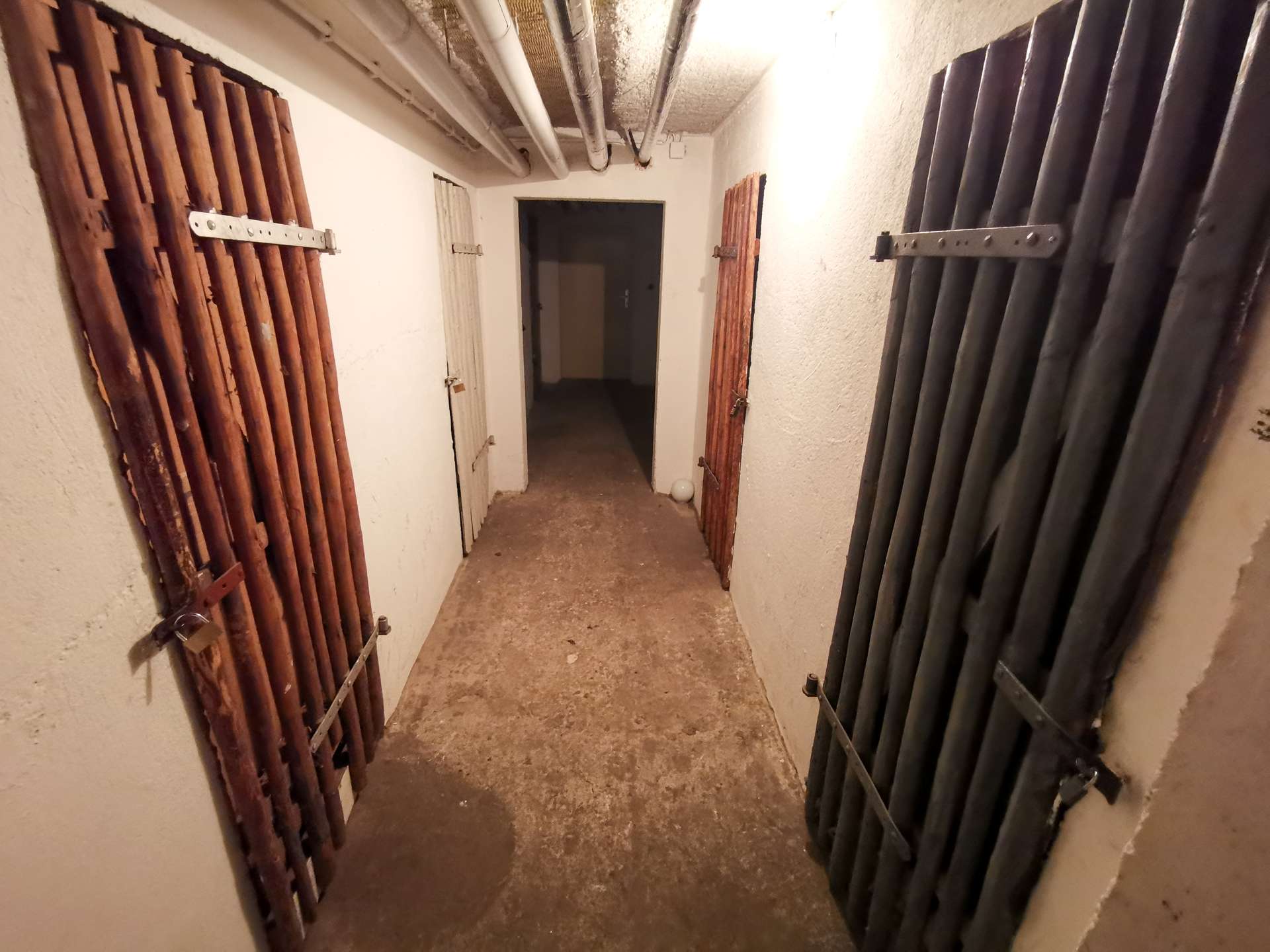 Aufgeräumter Kellerbereich