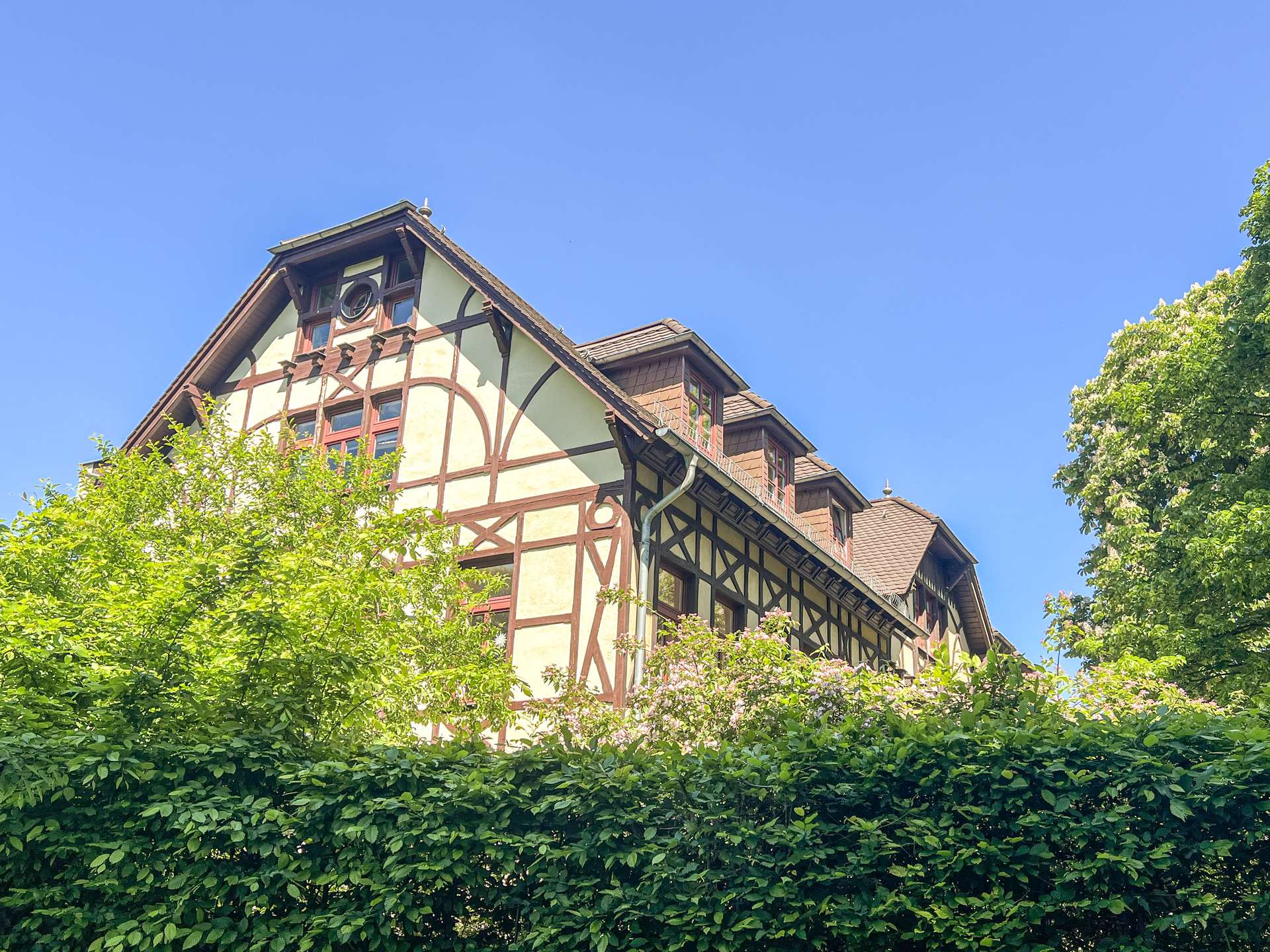 Rückseite