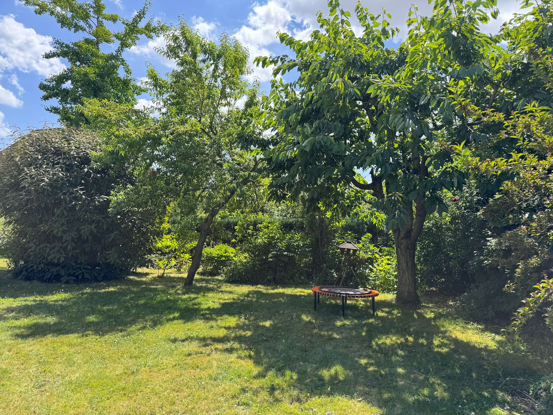 Toller Garten