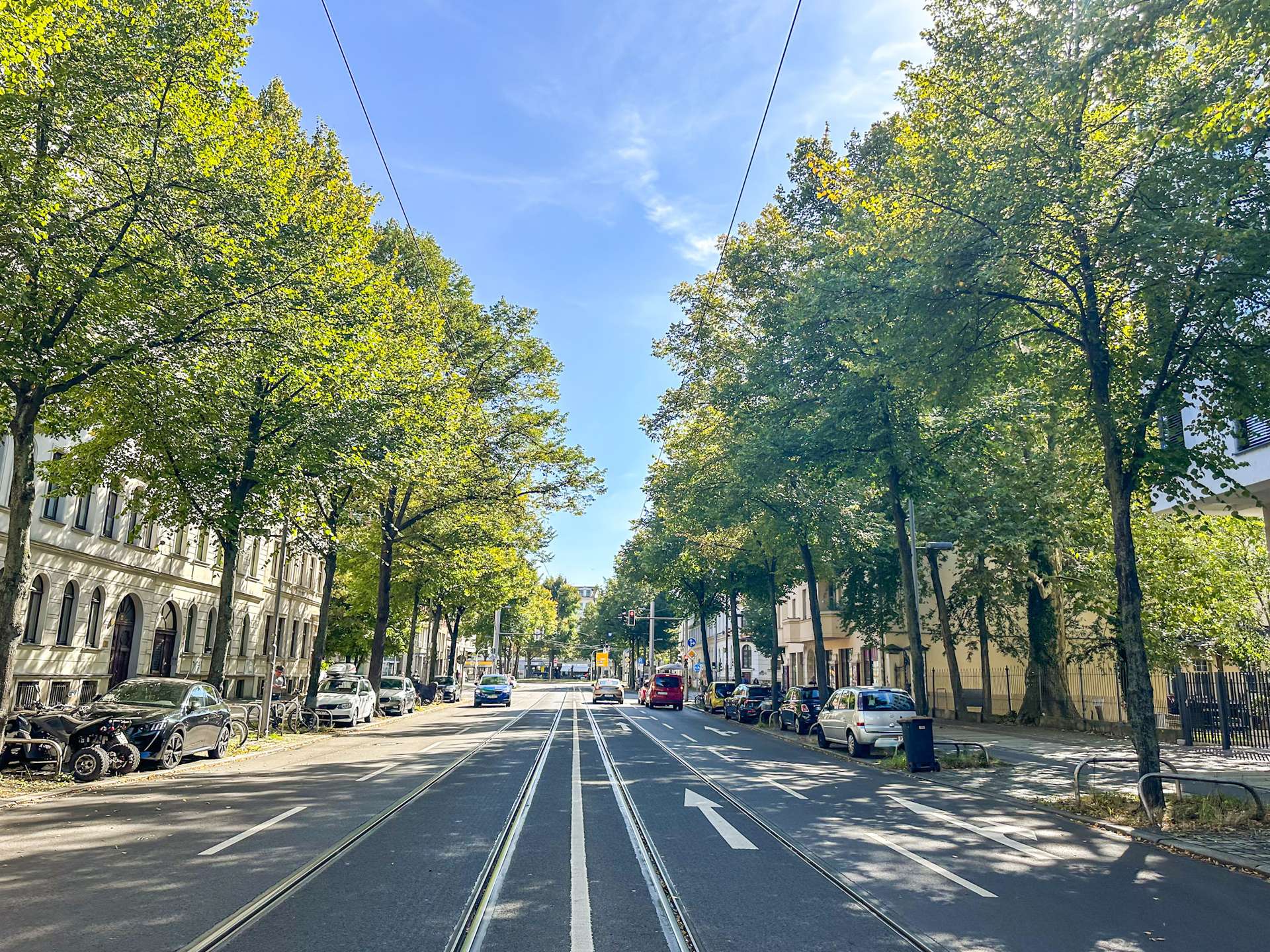 Das Waldstraßenviertel