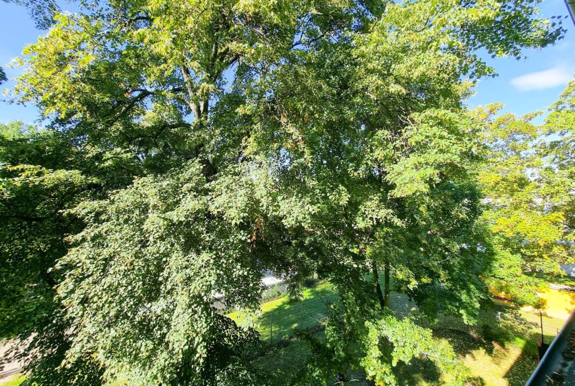 Aussicht