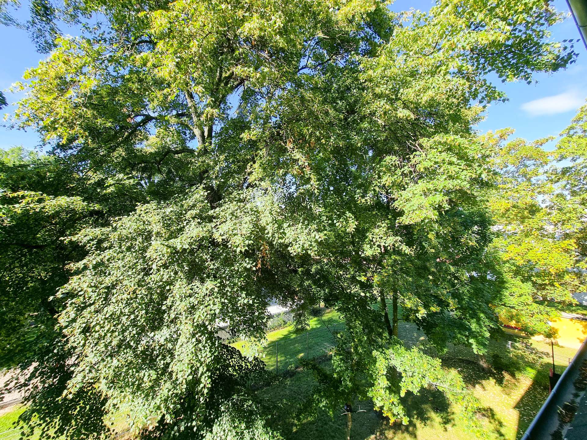 Aussicht