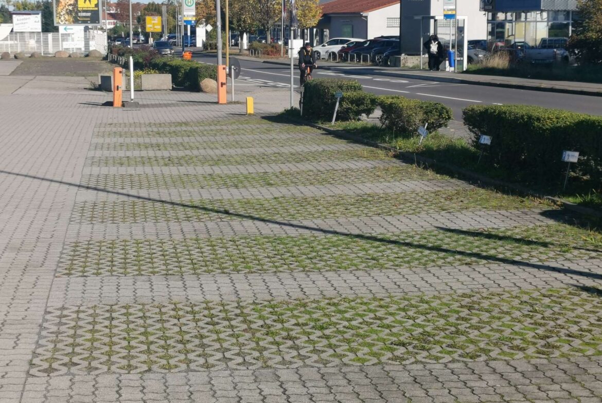 % Stellplätze