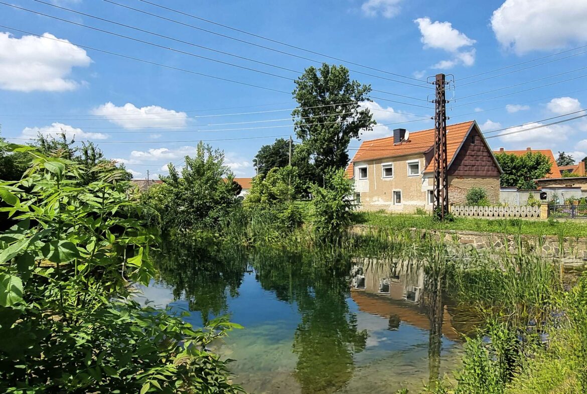 Firefly 20250617160258