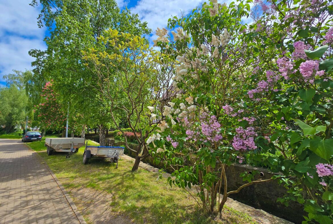 Blick auf das Gegenüber