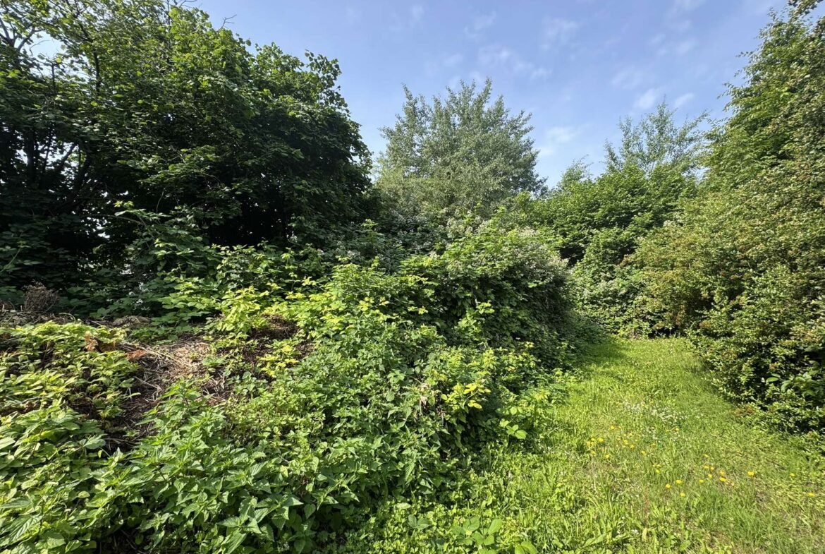 ehemalige Gärtnerei