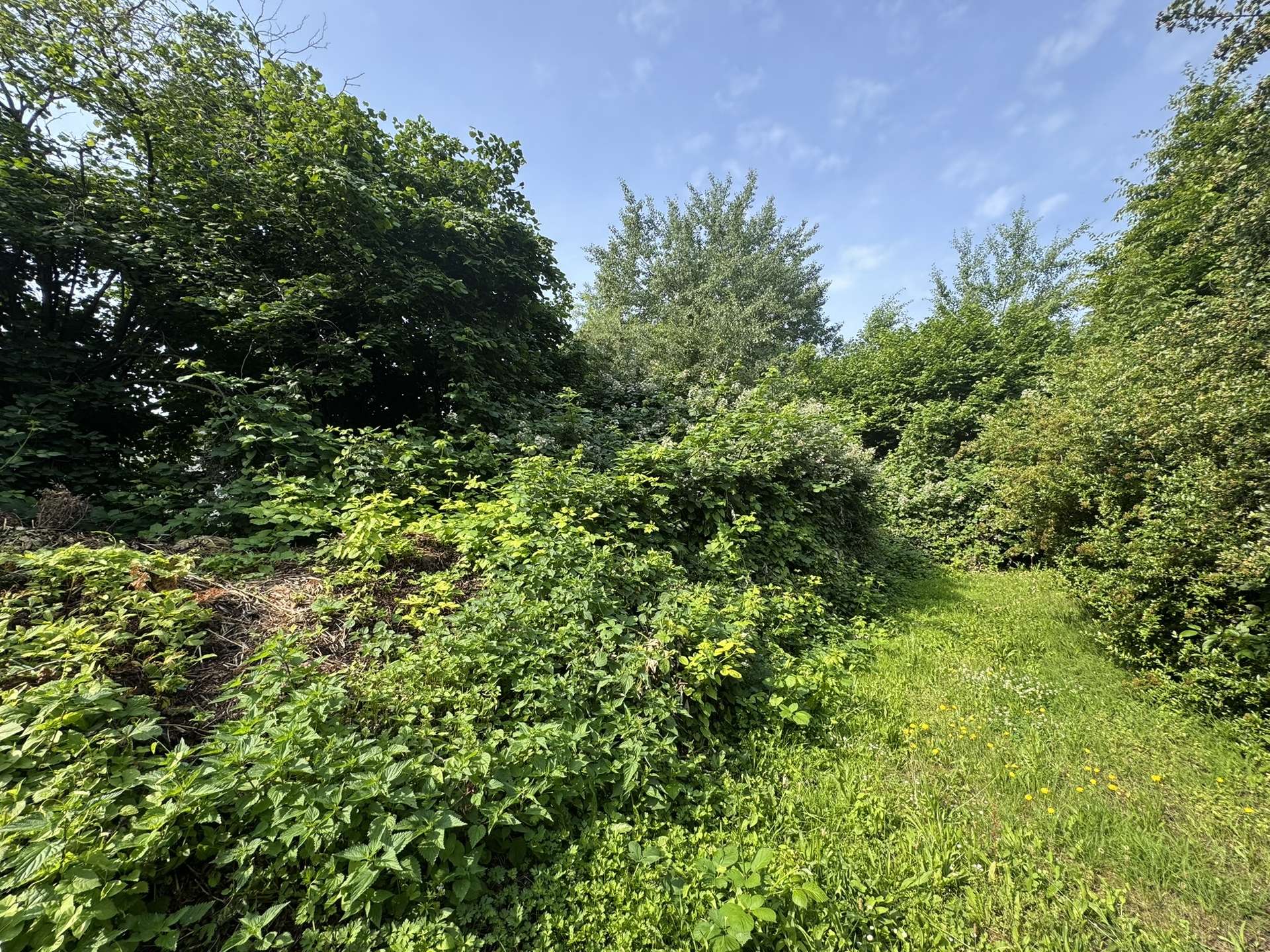 ehemalige Gärtnerei