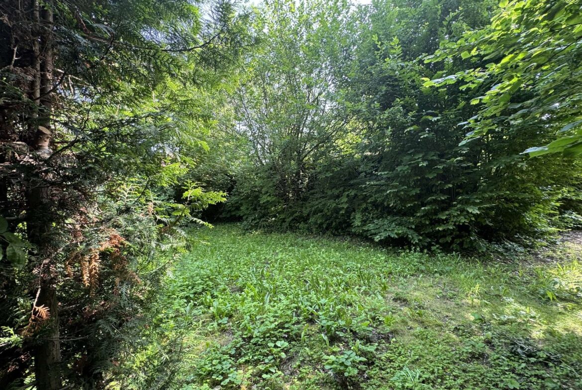 Mitten auf dem Grundstück