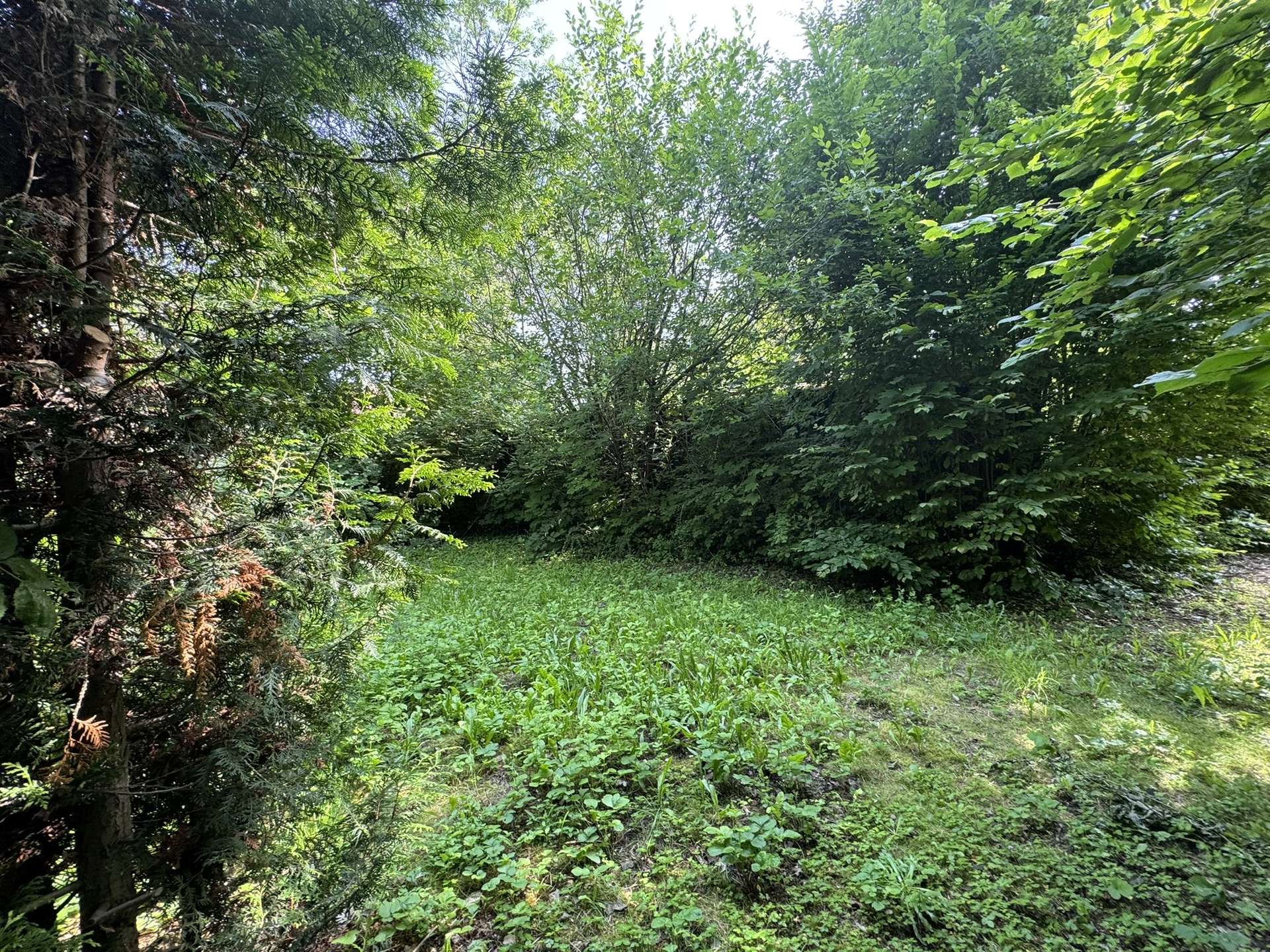 Mitten auf dem Grundstück