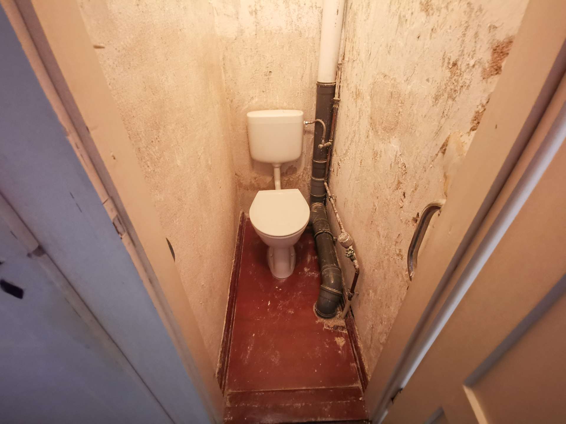 DG WC