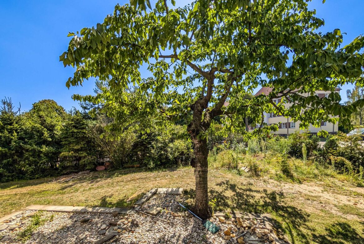 EG Blick aus dem Wohnzimmer