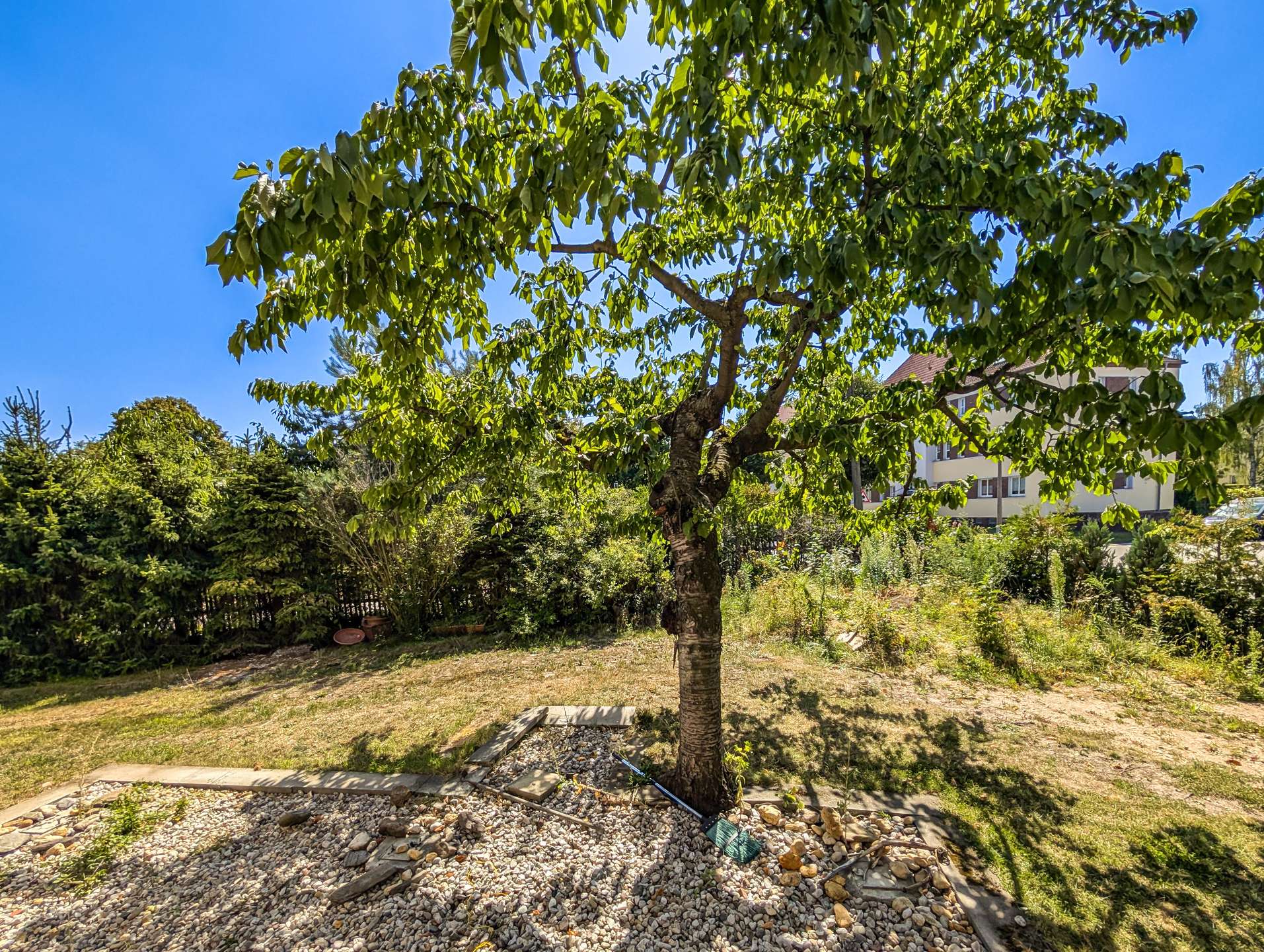 EG Blick aus dem Wohnzimmer