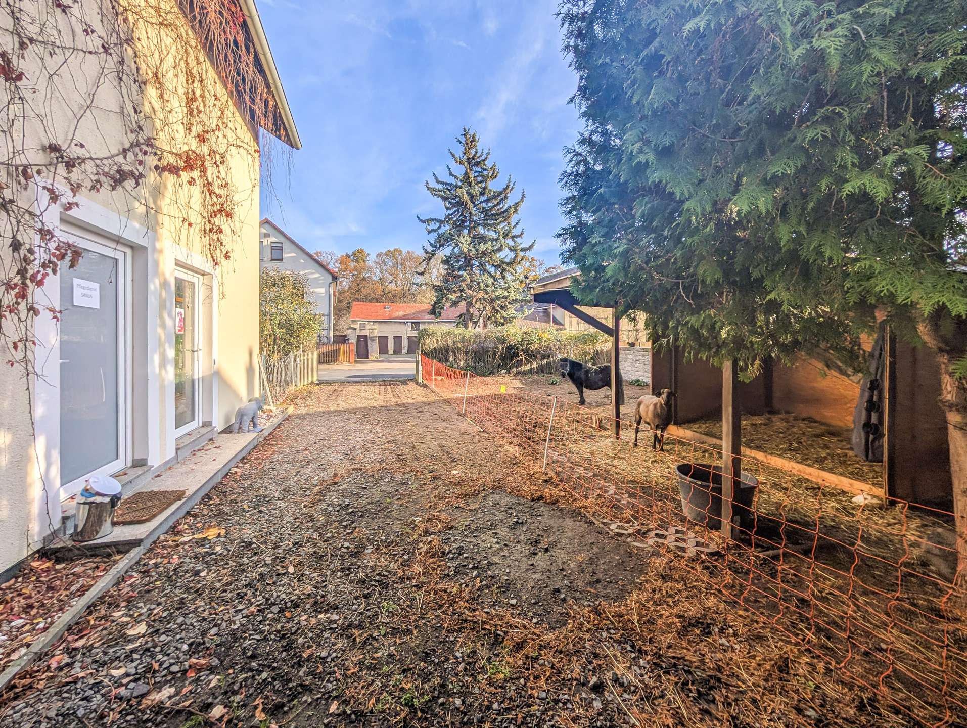 Blick vom Seitentor Ri. Straße