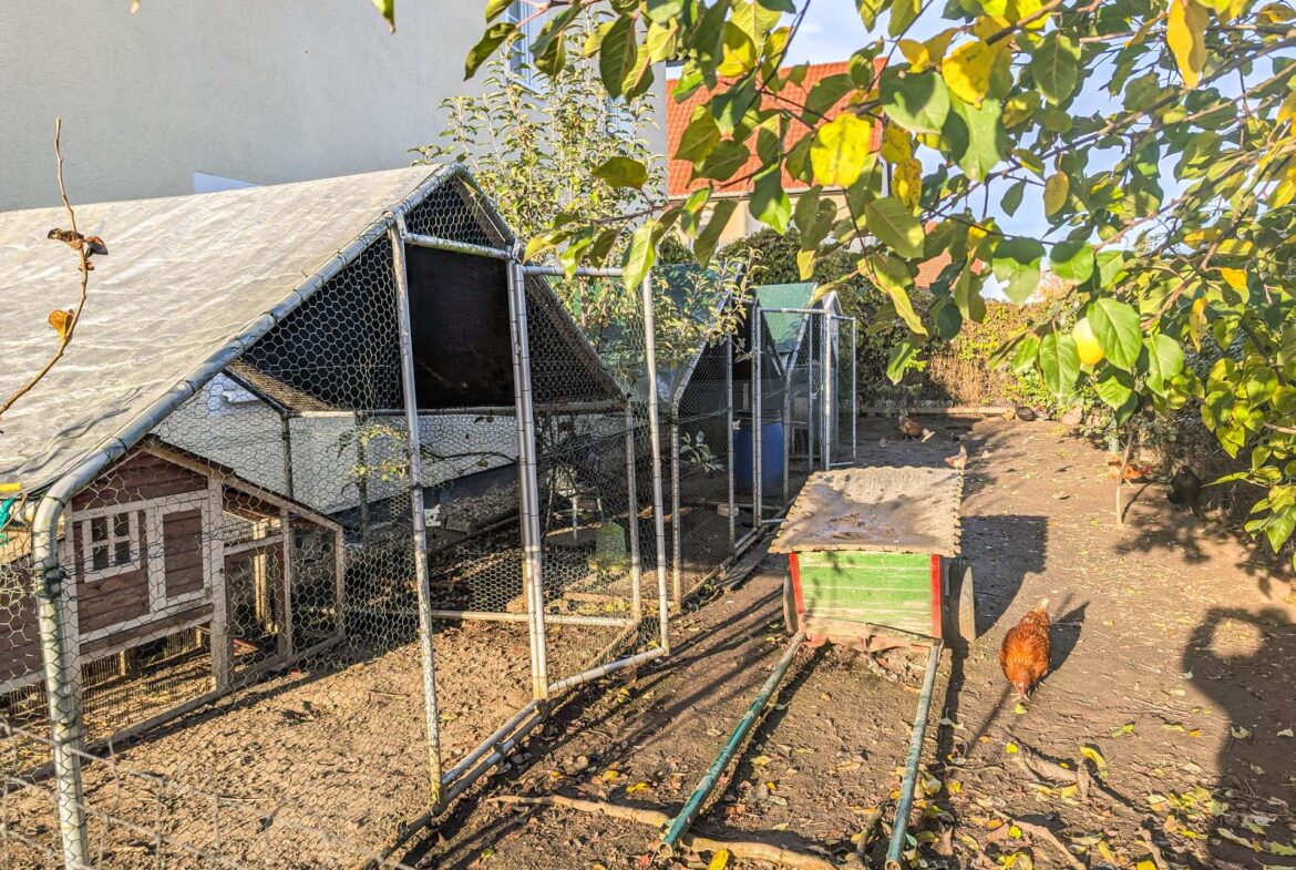 Hühnergehege