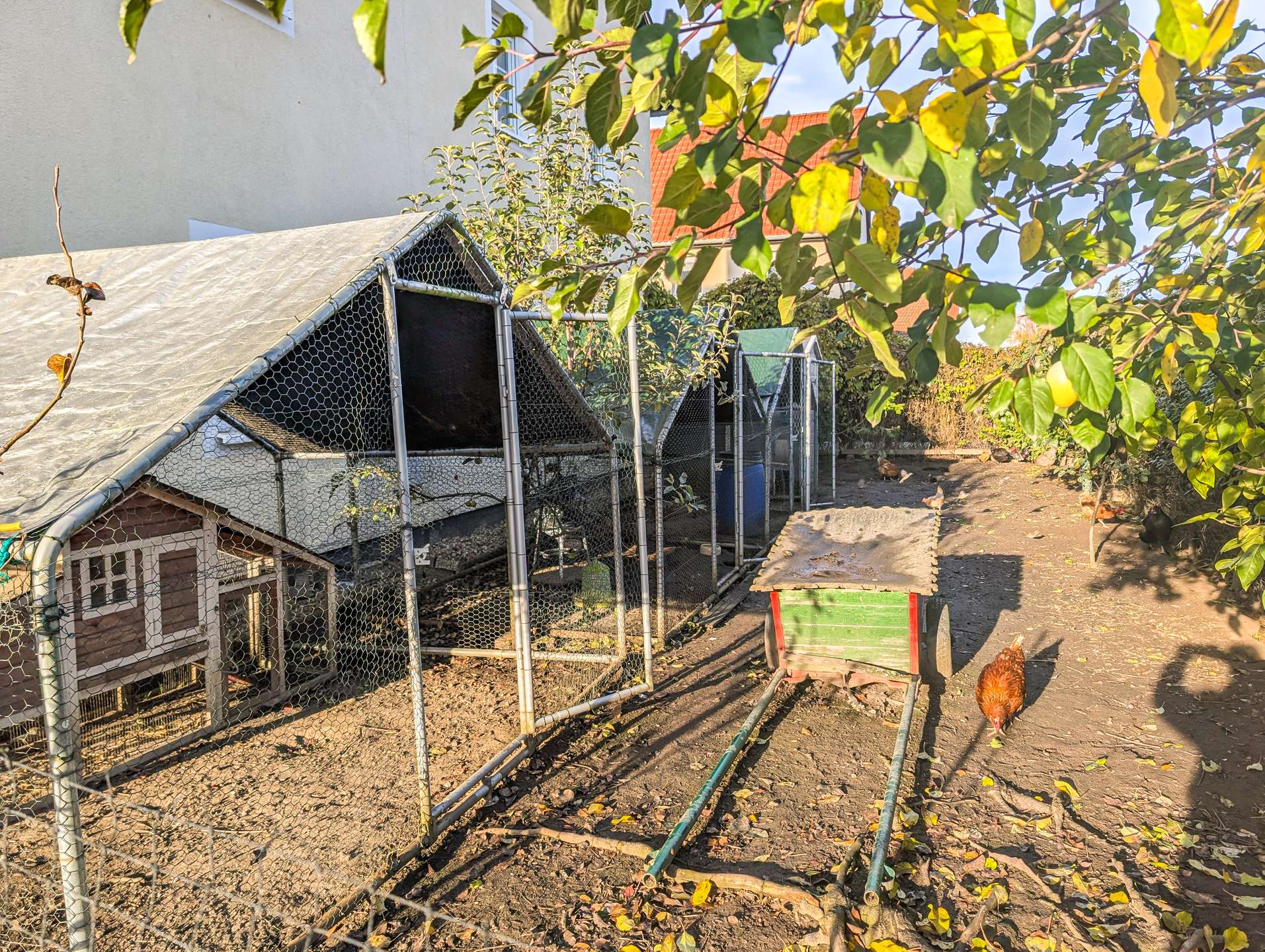 Hühnergehege