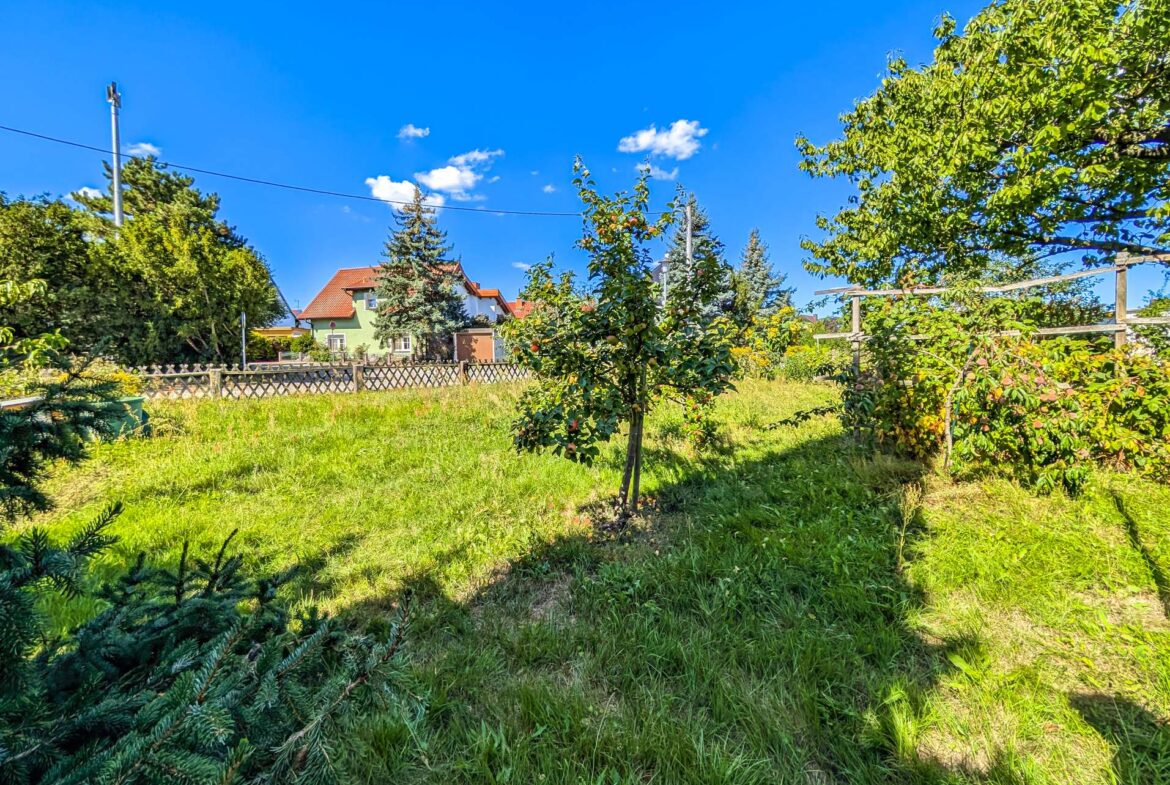 Grüne Oase vor dem Haus