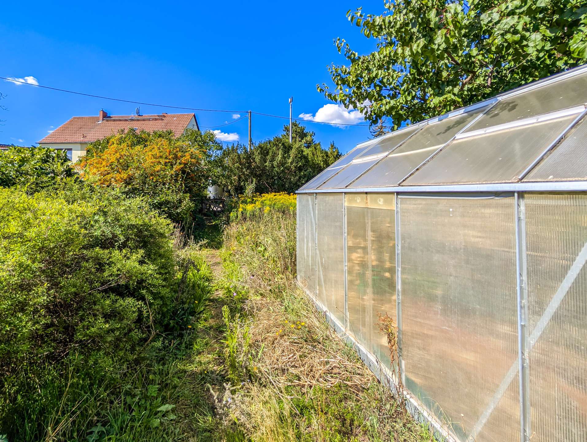 Gartenweg und Gewächshaus