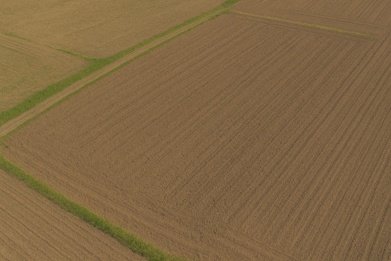 Refenrezbild Ackerland