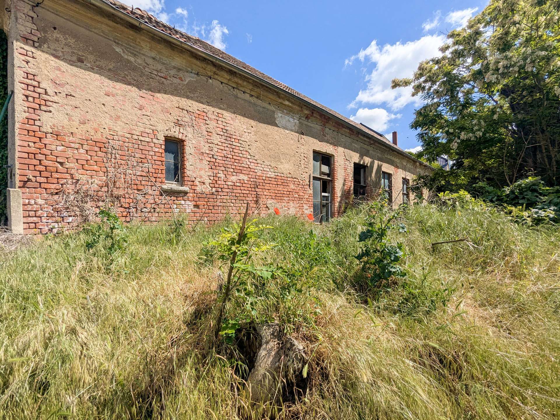 Scheune Seitenansicht