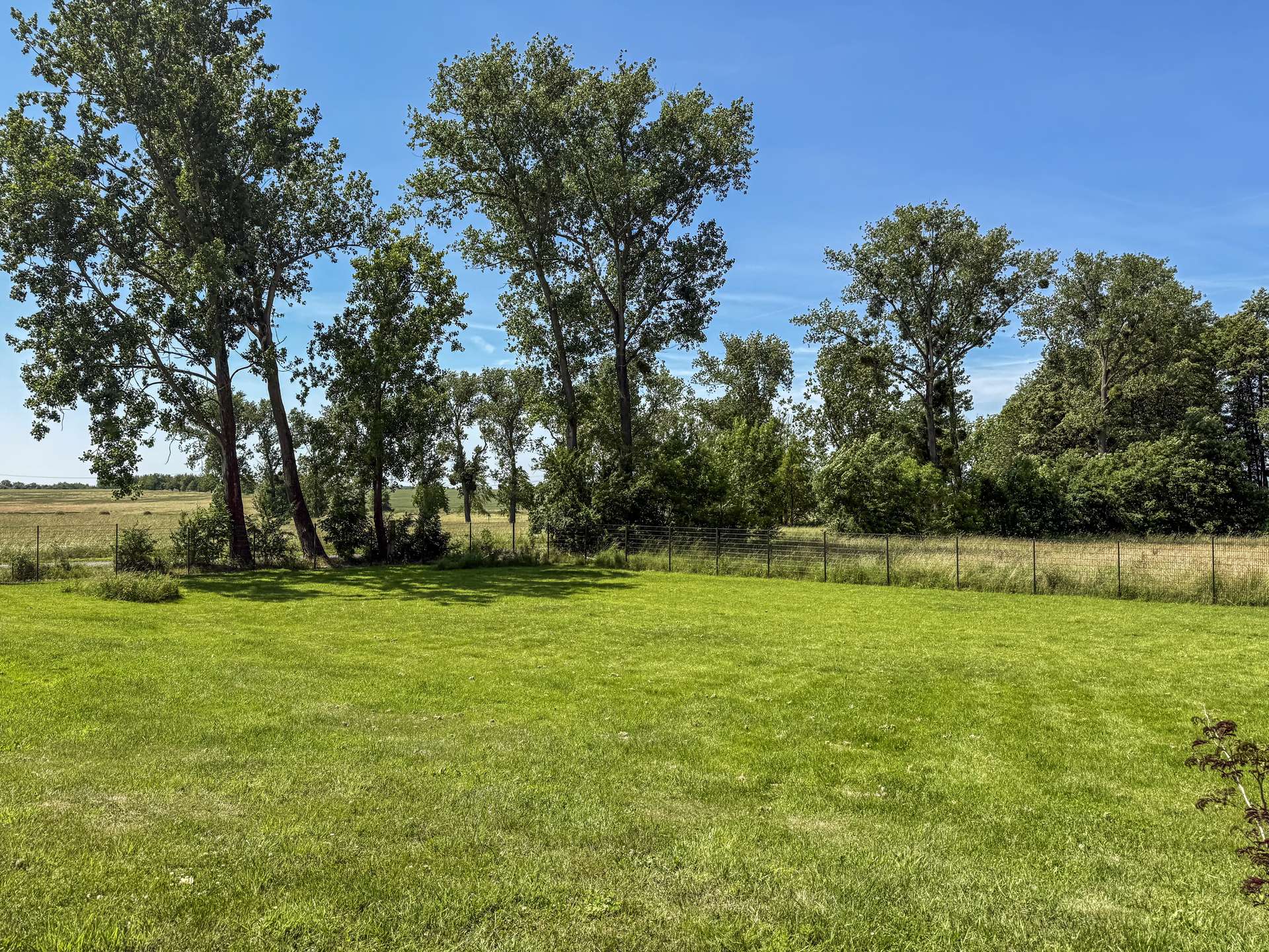 Weitläufig und Grün