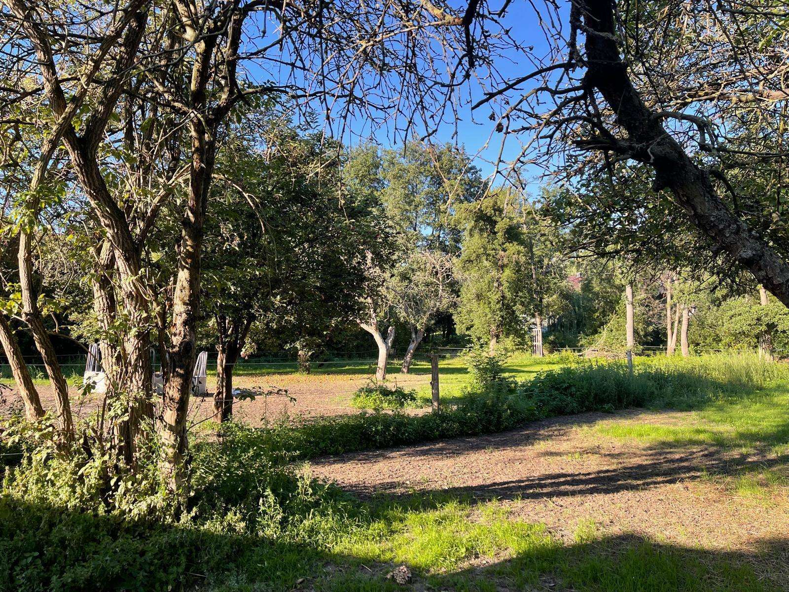 Große Naturschutzfläche